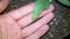 2010-09-21_17-00-39_711.jpg