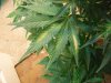 100_4758.jpg