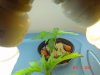 DSC03984.jpg