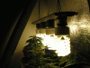 Picture-144.gif