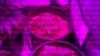 2010-09-23_09-28-37_366.jpg