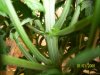 100_0181.jpg