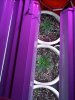 100_0030.jpg