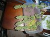 RockLock Harvest Day 56 (7).jpg