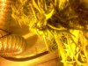 IMG20100928_005.jpg
