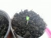 20100901_001.jpg 20100901_001.jpg
