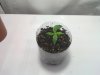 20100909_001.jpg 20100909_001.jpg