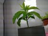 20100923_005.jpg 20100923_005.jpg