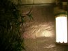 DSC02774.jpg