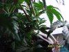 mystuff 069.jpg