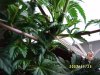 mystuff 070.jpg