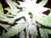 day 51 020.jpg