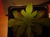 DSC01553.jpg