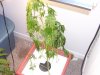 100_1527.jpg
