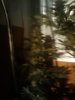 2010-10-01 08.40.04.jpg