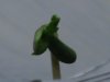DSC00367.JPG