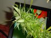 10.2.2010 003.jpg 10.2.2010 003.jpg