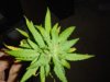 10.2.2010 008.jpg 10.2.2010 008.jpg