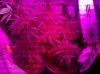 2010-10-03_16-24-00_678.jpg