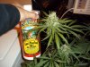 100_0056.jpg