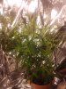 2010-10-04 13.24.51.jpg