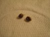 DSC01763.jpg