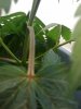 IMG_20101005_180851.jpg