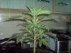 25 days old 003.jpg