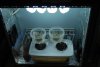 DSC_0476.jpg DSC_0476.jpg
