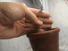 DSC00389.JPG