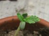 DSC00387.JPG