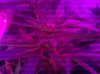 2010-10-07_23-11-22_658.jpg