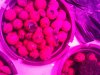 IMG00031-20101007-1742.jpg