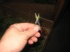 widow and ak 029.jpg