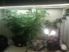 IMG_20101007_175323.jpg IMG_20101007_175323.jpg