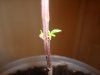 DSC01769.jpg