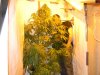 DSCN1845.jpg DSCN1845.jpg