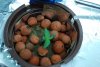 DSC_0499.jpg DSC_0499.jpg