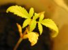 10-9-2010 a 1.jpg
