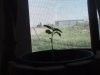 DSCF2511.JPG
