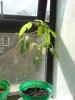 DSC00349.JPG