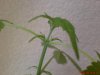 DSC00344.JPG