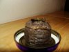 DSC00323.JPG