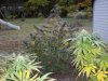 100_0152.jpg