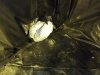 100_0146.jpg