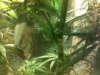 11102010042.jpg 11102010042.jpg