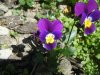 DSCF2264.jpg