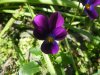 DSCF2266.jpg