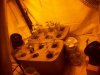 Grow_1 005.jpg