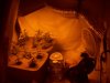 Grow_1 006.jpg